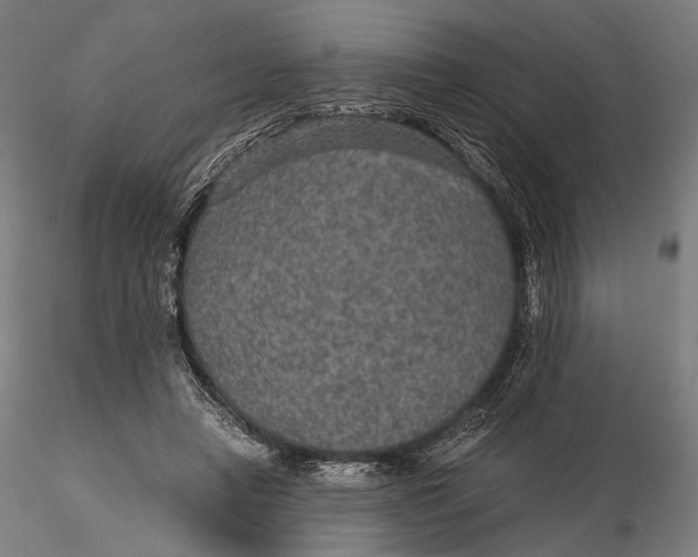 X0000116000450200912101321