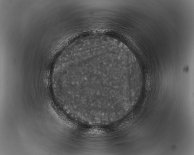 X0000116000451200912101321