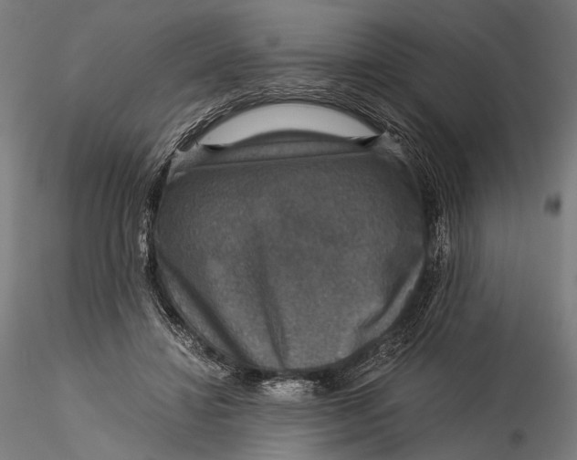 X0000116000452200912101321