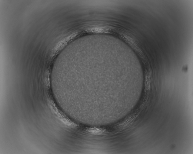 X0000116000453200912101321