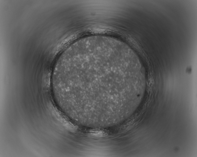 X0000116000454200912101321