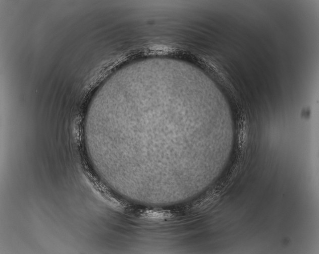 X0000116000455200912101321