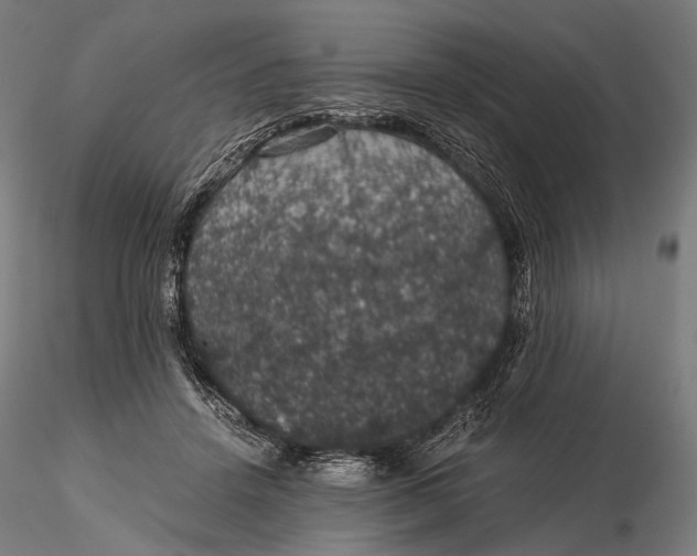 X0000116000456200912101321