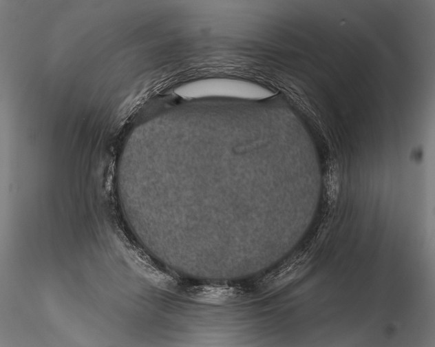 X0000116000458200912101321