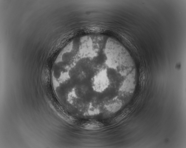 X0000116000459200912101321