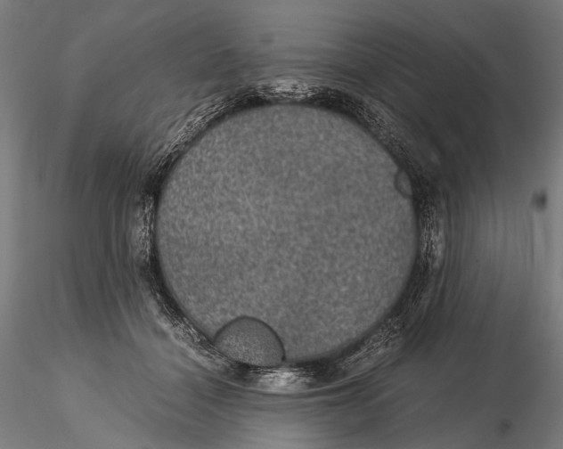 X0000116000460200912101321