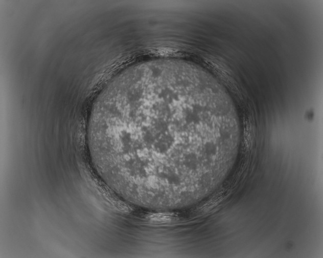 X0000116000461200912101321