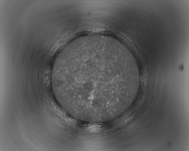 X0000116000462200912101321