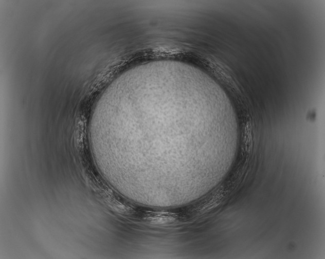 X0000116000463200912101321