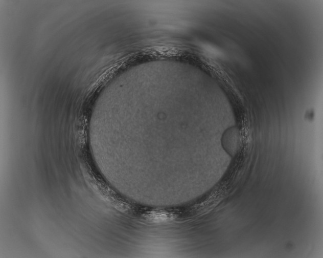 X0000116000464200912101321