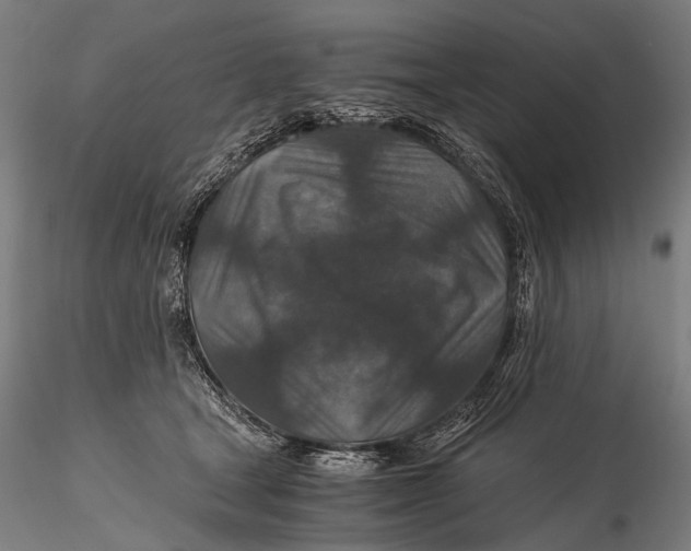 X0000116000465200912101321