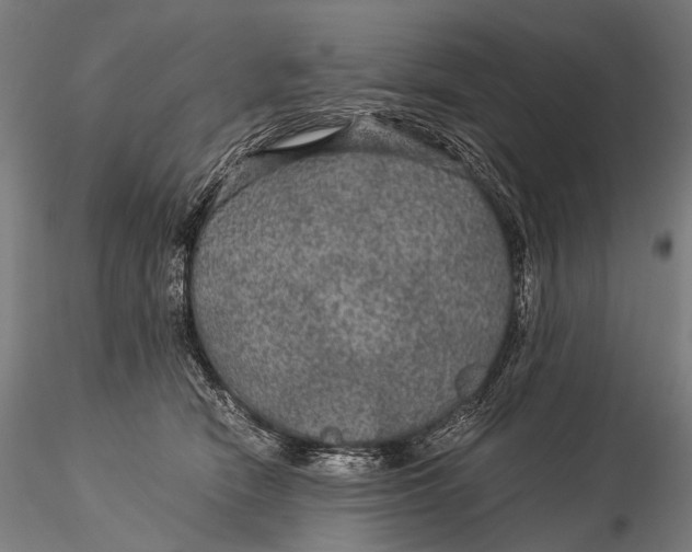 X0000116000466200912101321