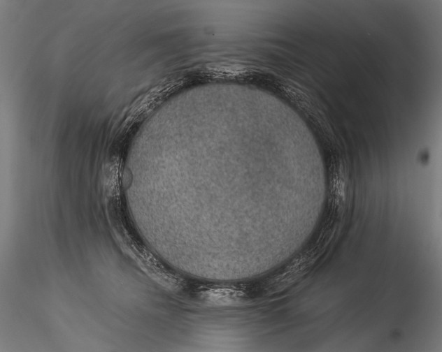 X0000116000468200912101321