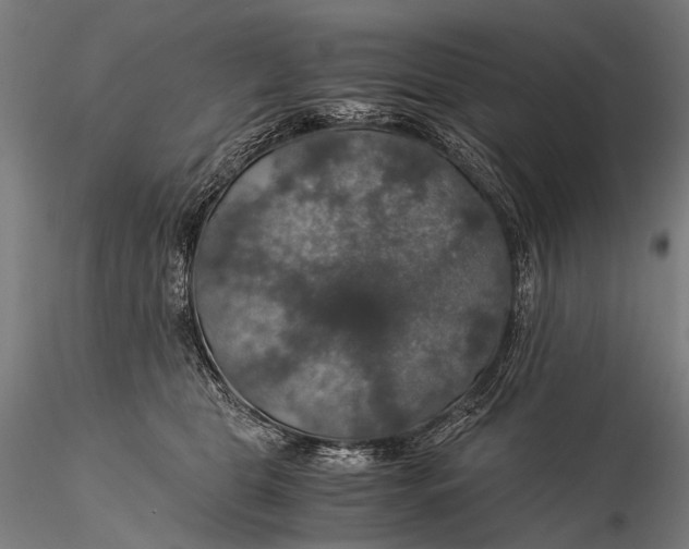 X0000116000469200912101322