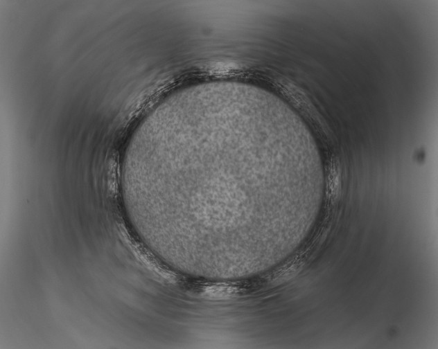 X0000116000470200912101322