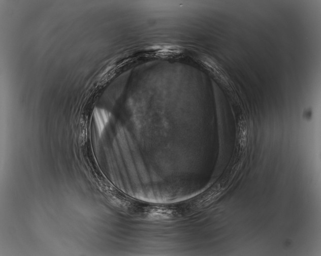 X0000116000471200912101322