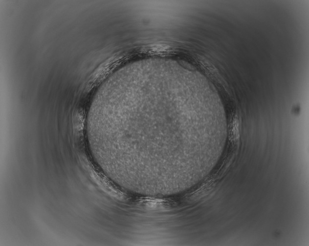 X0000116000472200912101322