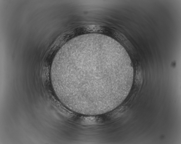 X0000116000473200912101322