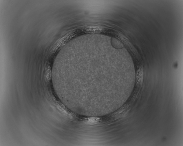 X0000116000474200912101322