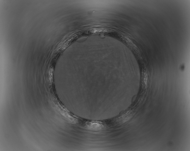 X0000116000475200912101322