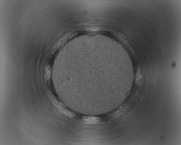 X0000116000476200912101322