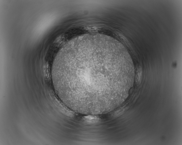 X0000116000477200912101322