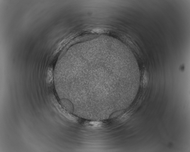 X0000116000478200912101322