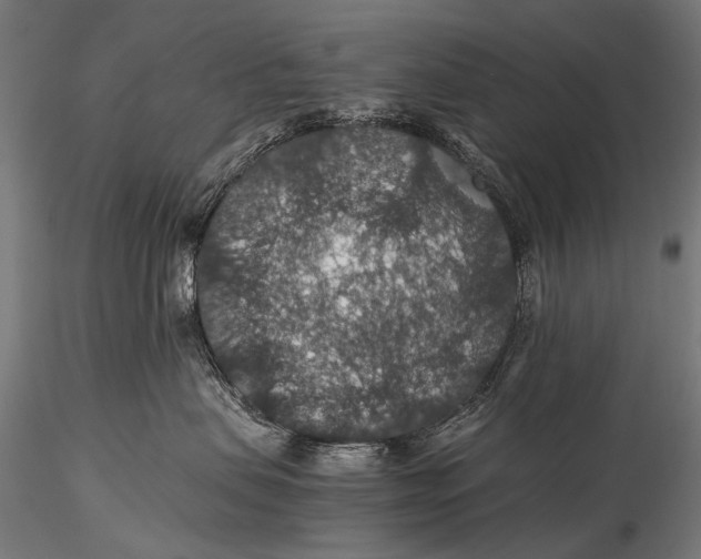 X0000116000479200912101322