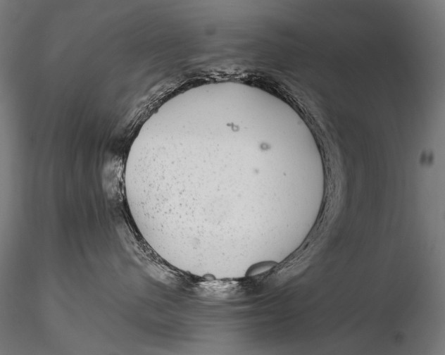 X0000116000480200912101322