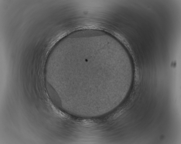 X0000116000481200912101321