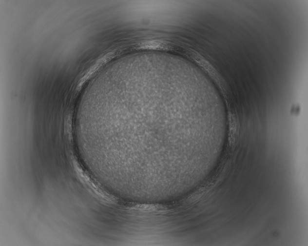 X0000116000482200912101321