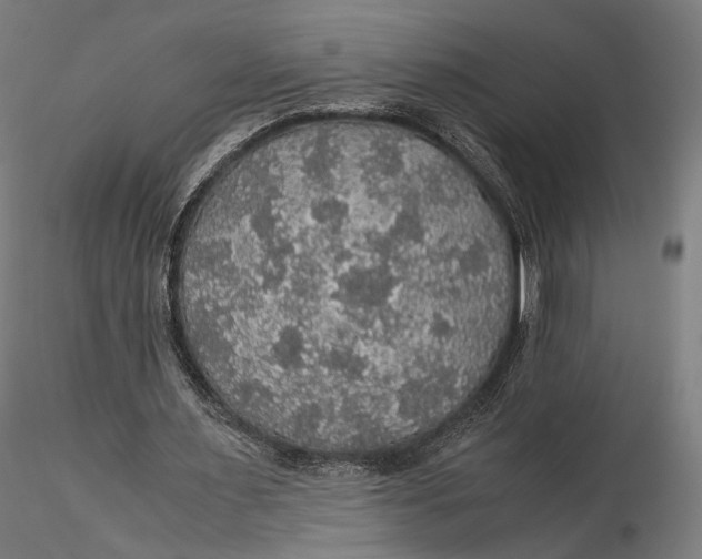 X0000116000483200912101321