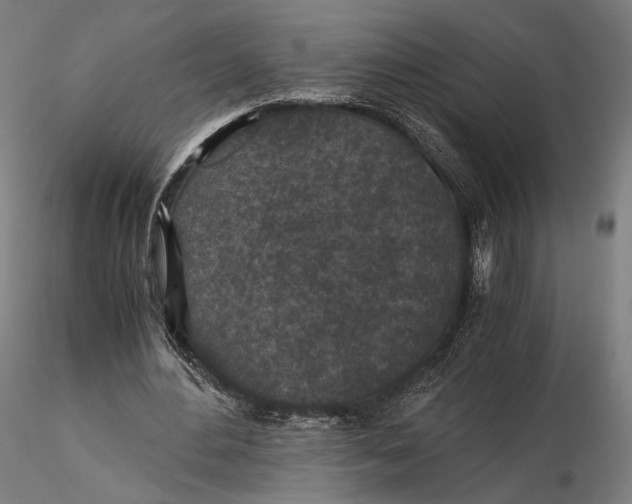 X0000116000484200912101321