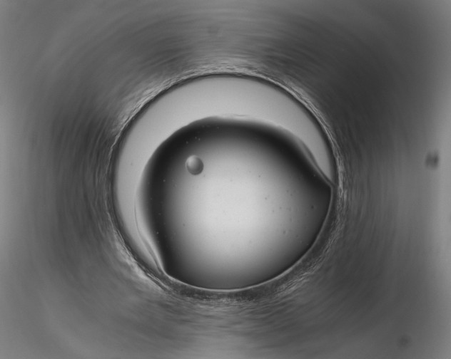 X0000116000485200912101321