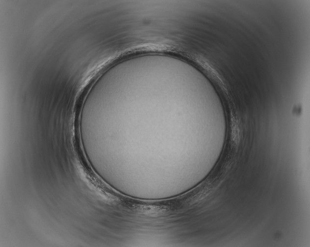 X0000116000486200912101321