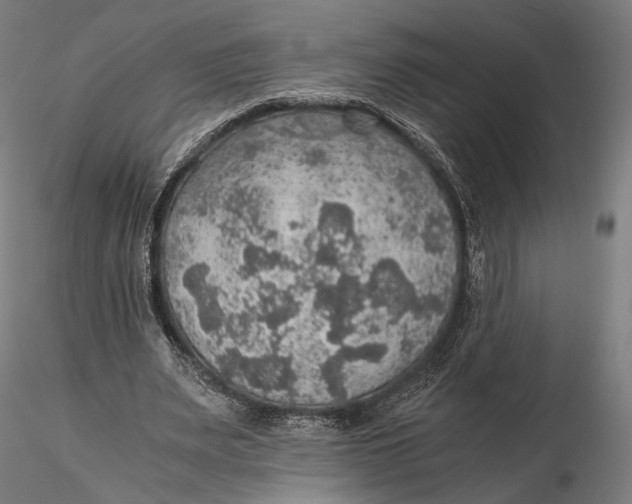 X0000116000487200912101321