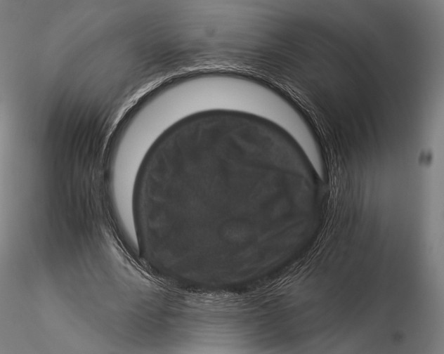 X0000116000488200912101321