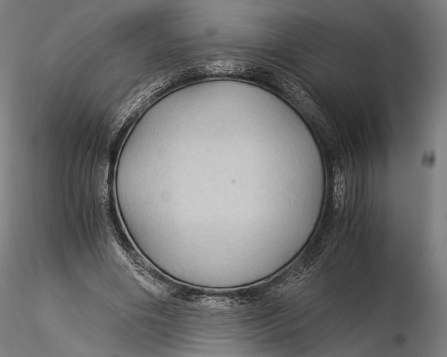 X0000116000490200912101321