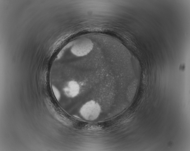 X0000116000491200912101321