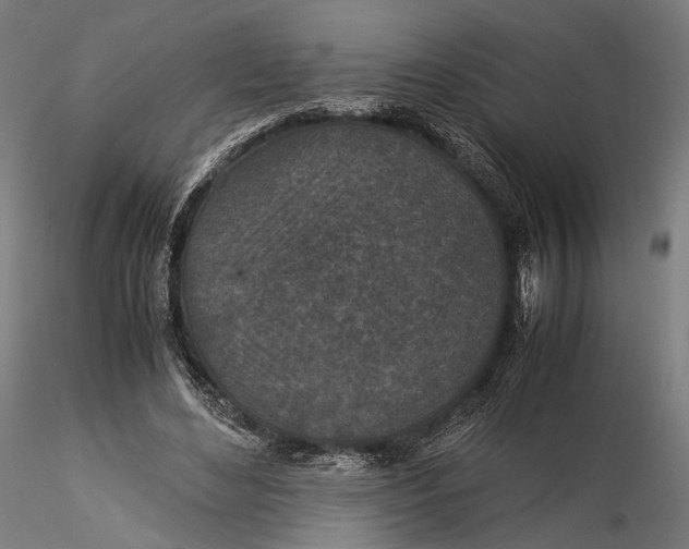 X0000116000492200912101321