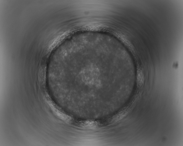 X0000116000493200912101321