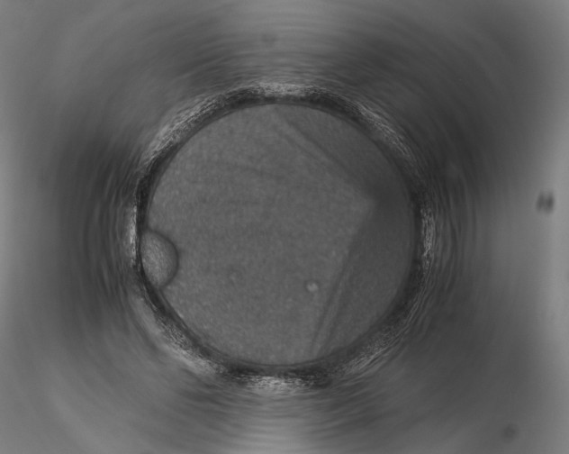 X0000116000494200912101321