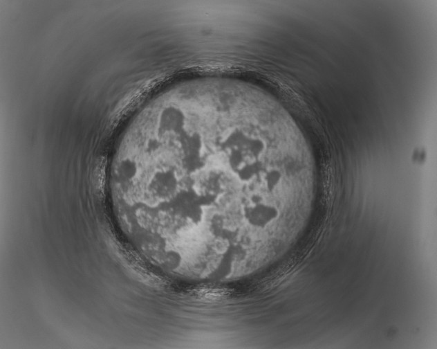 X0000116000495200912101321