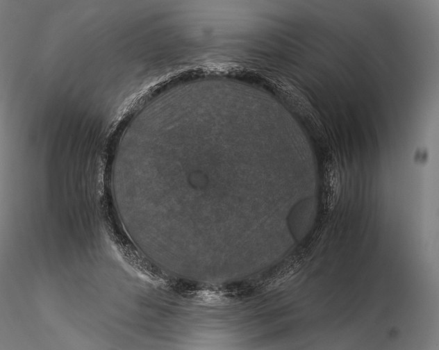 X0000116000496200912101321