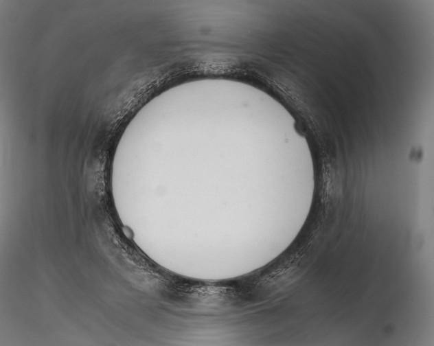 X0000116000497200912101321