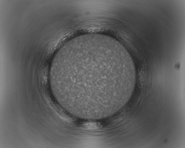 X0000116000499200912101321