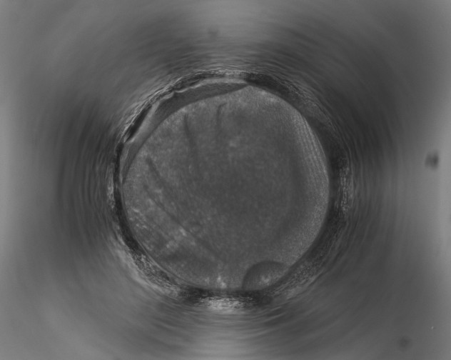 X0000116000500200912101321