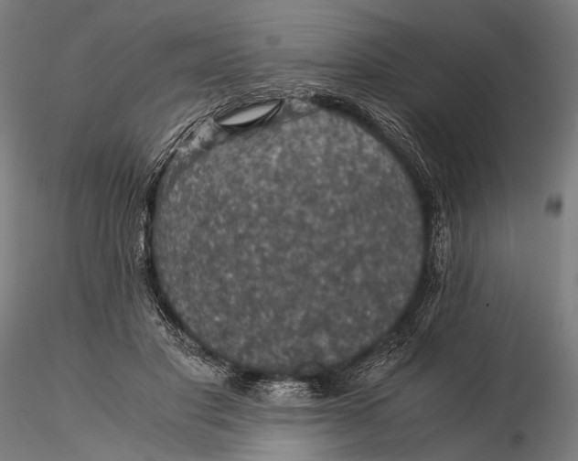 X0000116000501200912101321