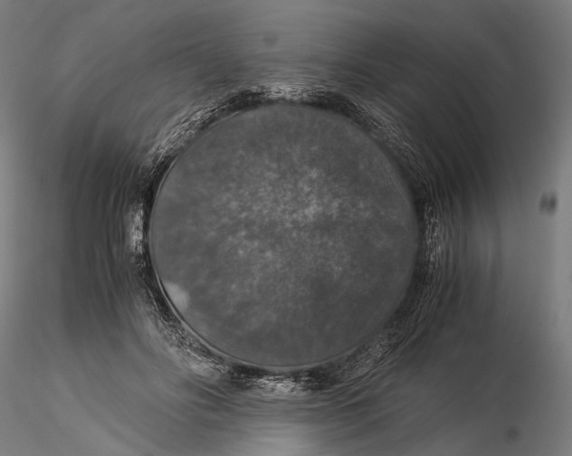 X0000116000502200912101321