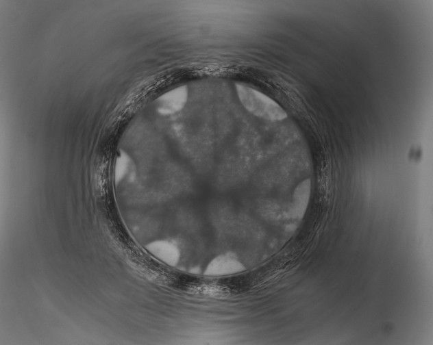 X0000116000503200912101321